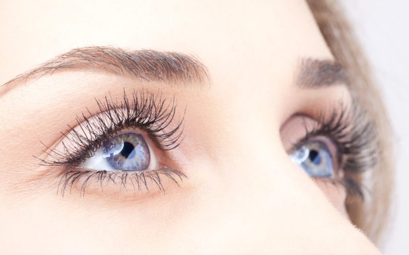 Lens mắt là gì? Cách bảo quản lens mắt đúng chuẩn ai cũng nên biết - Nhà  thuốc FPT Long Châu